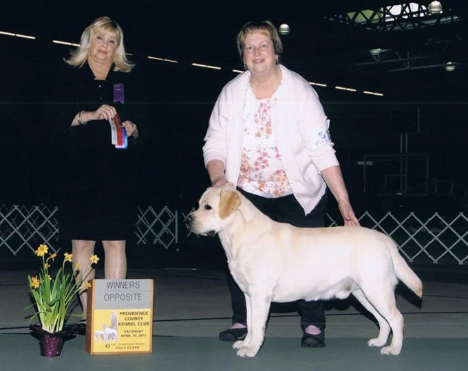 Tango takes Winner Dog and Best of Opposite at Providence County Kennel Dog Show April 15, 2011