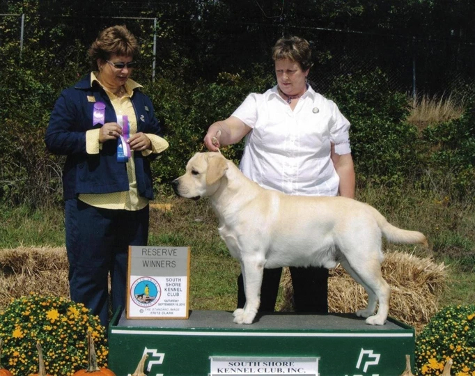 Reserve Winner Dog, South Shore Kennel Club, September 18, 2010, under breeder judge Claire White-Peterson.